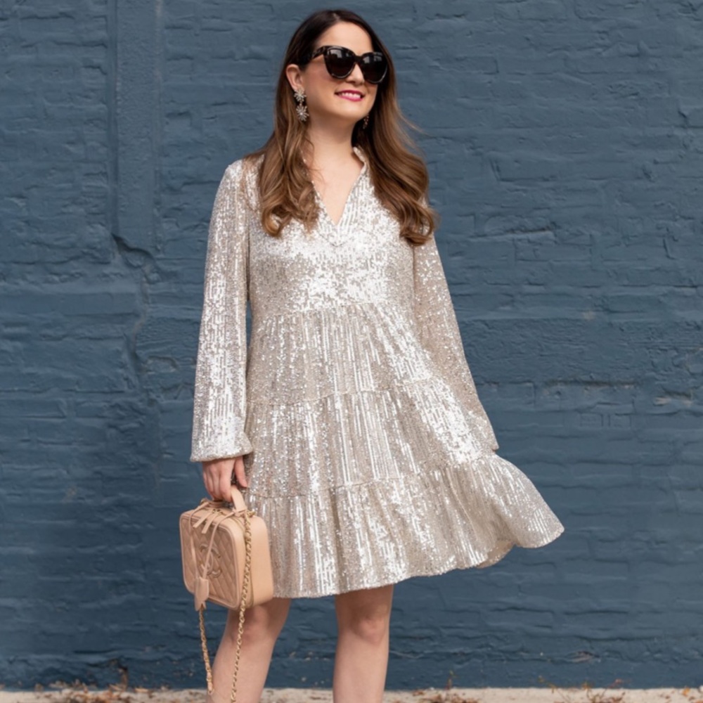 Sail to Sable Silver Sequin Dress
